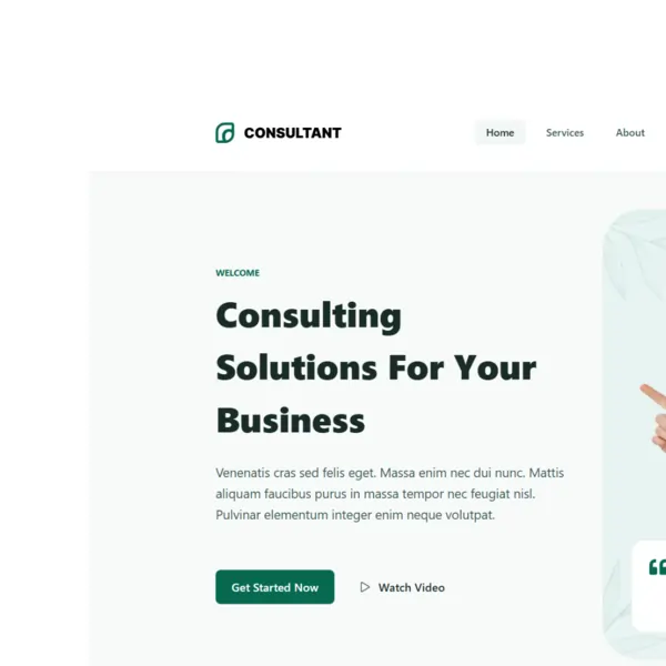 01dolphin discovery and strategy