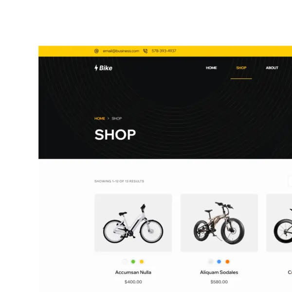 01dolphin discovery and strategy