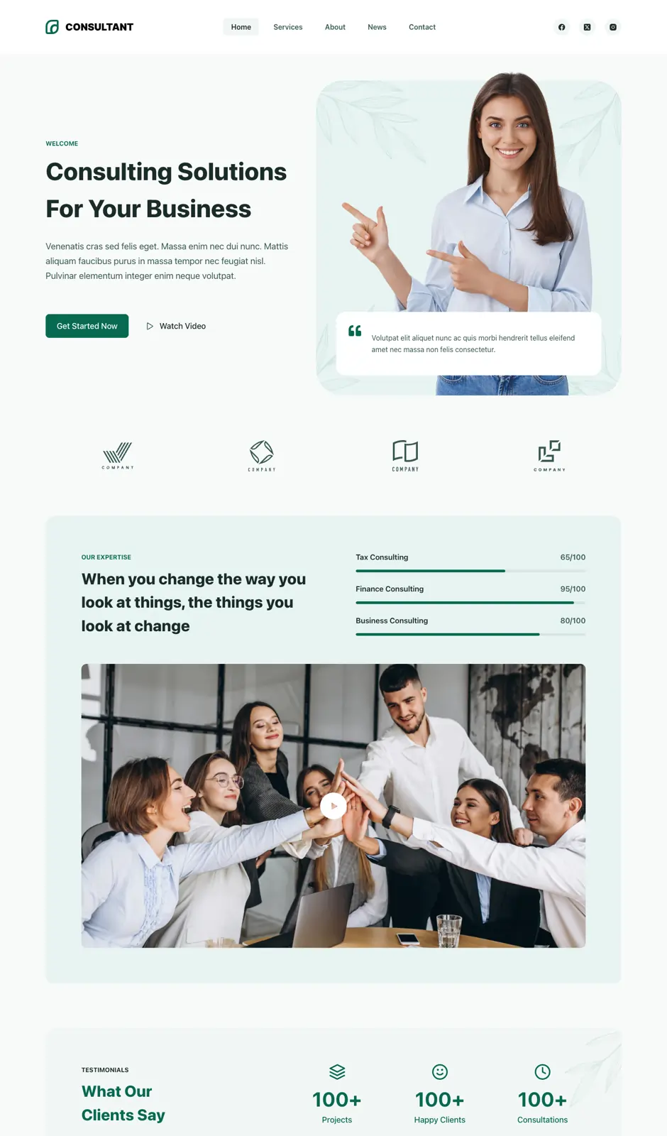 01dolphin consultant website design