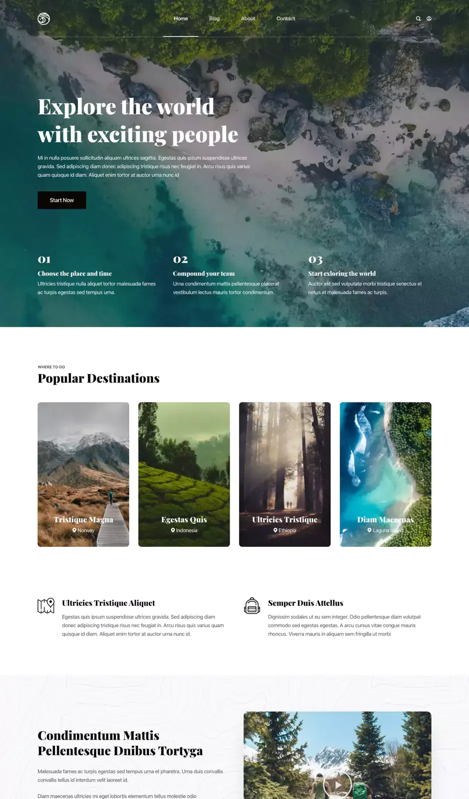 01dolphin Destination Review Website Design