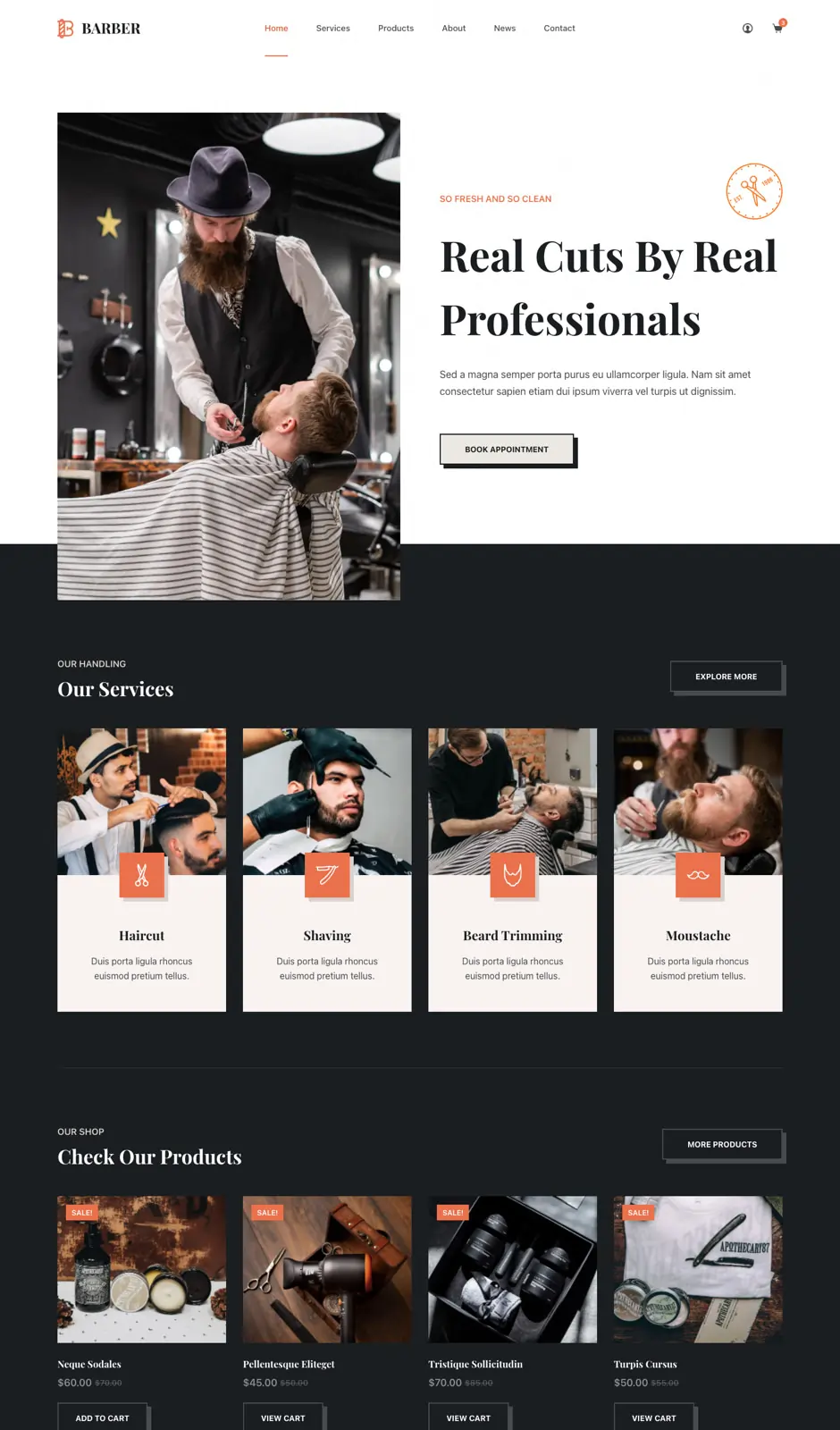 01dolphin Hair Salon Website Design