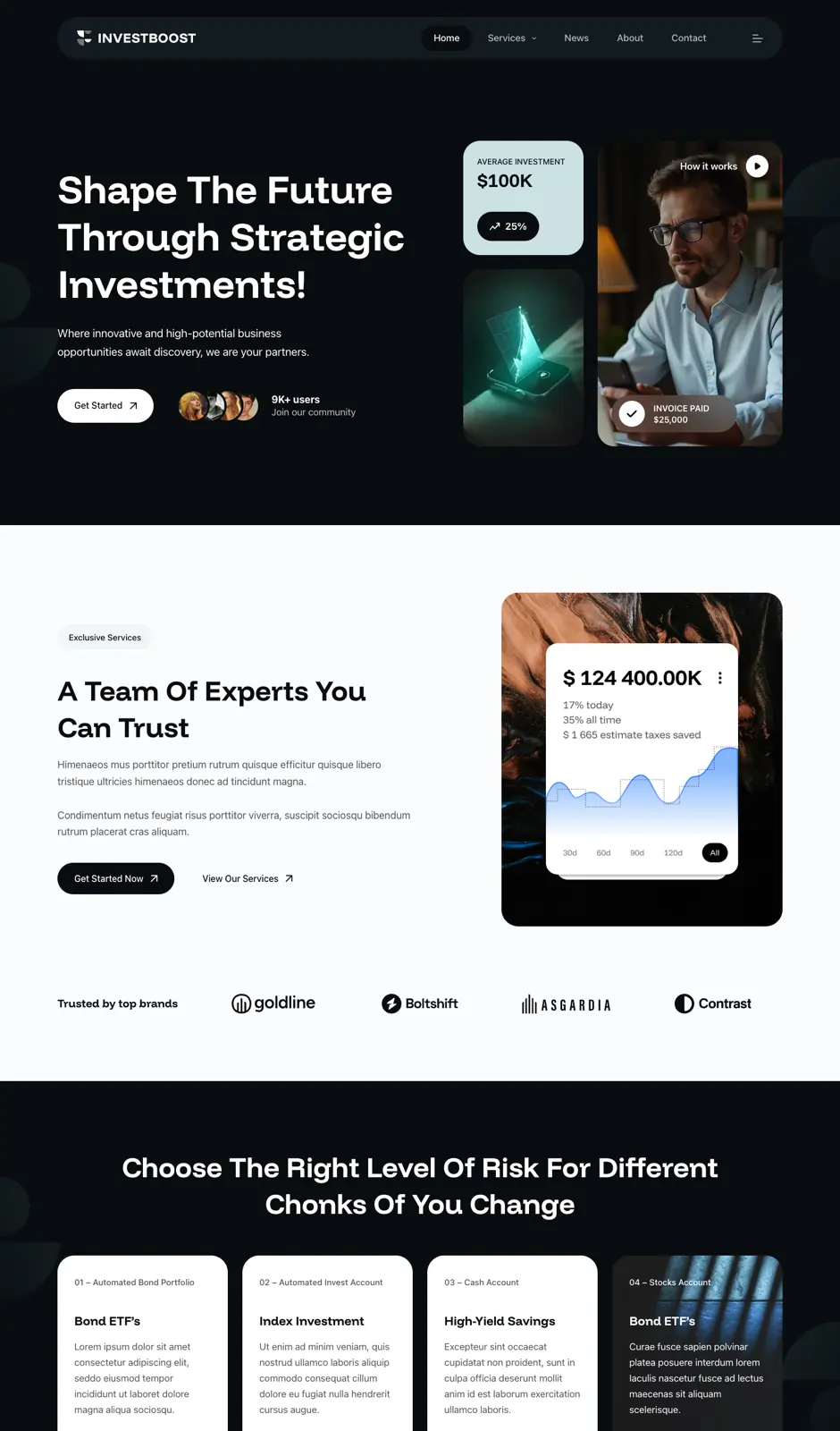 01dolphin Investment Website Design