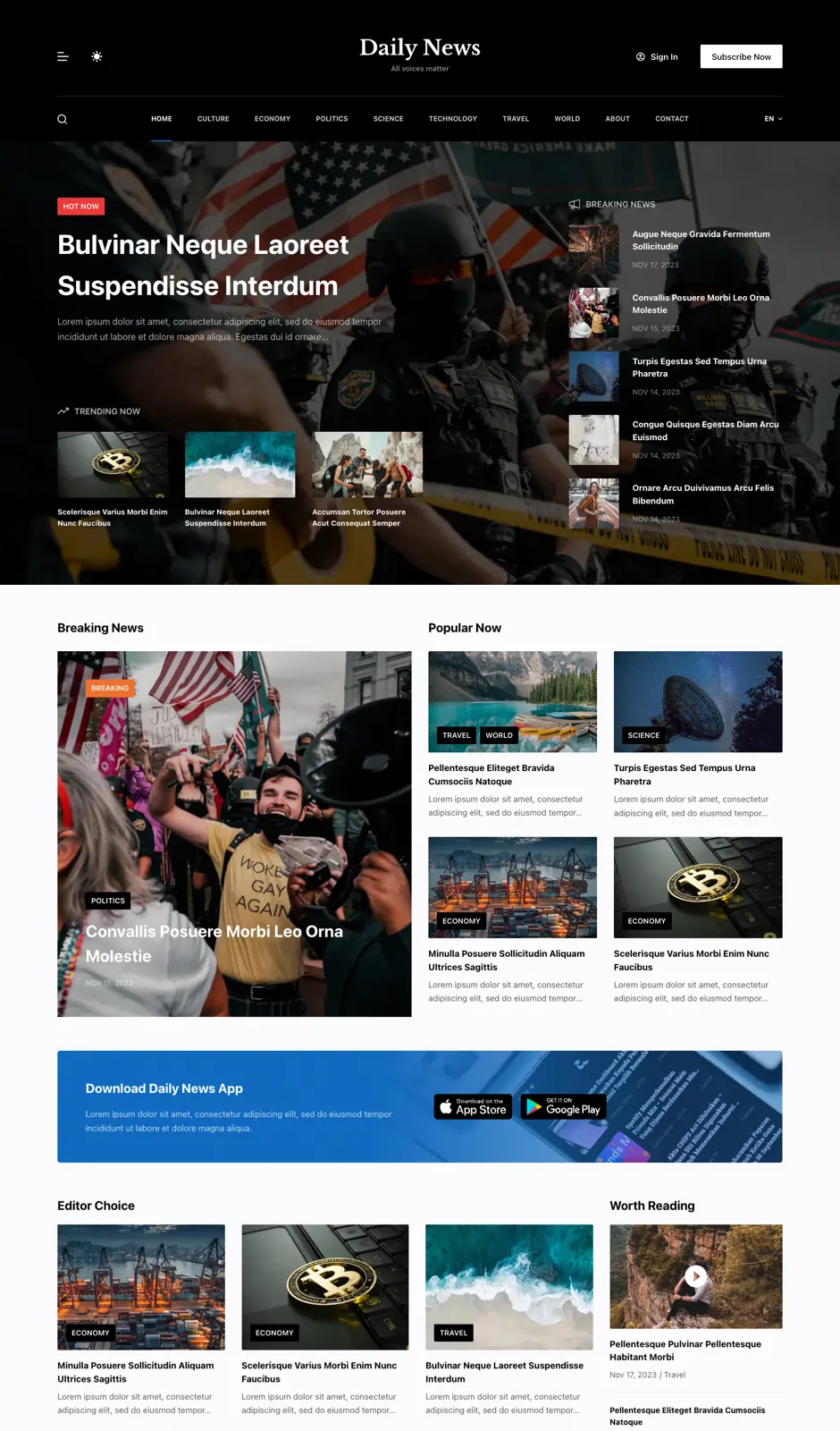 01dolphin Daily News Website Design