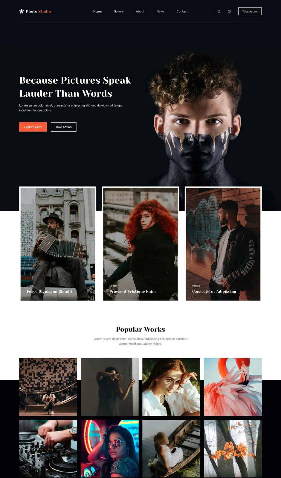 01dolphin Photo Studio Website Design