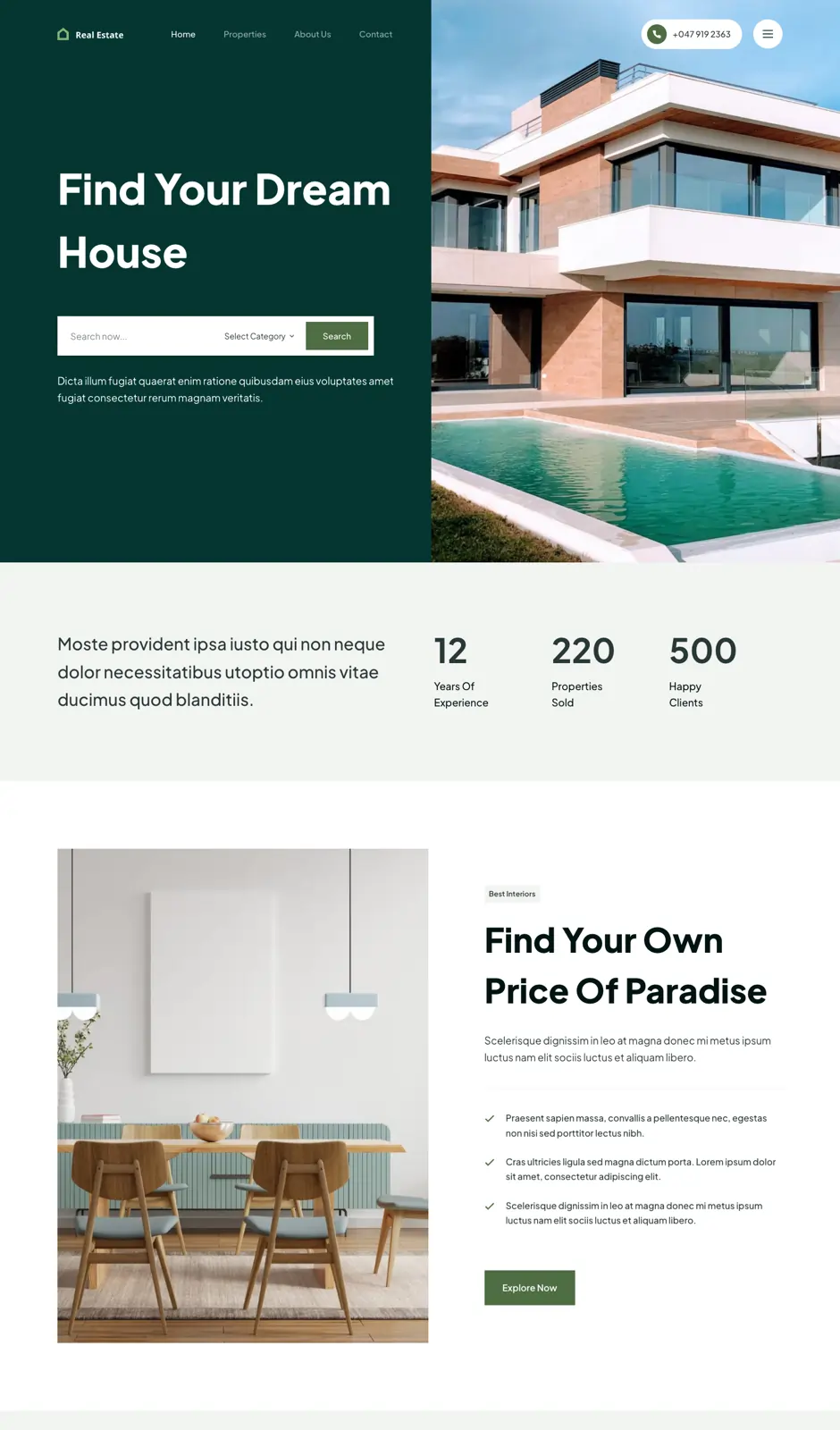 01dolphin Real Estate Website Design