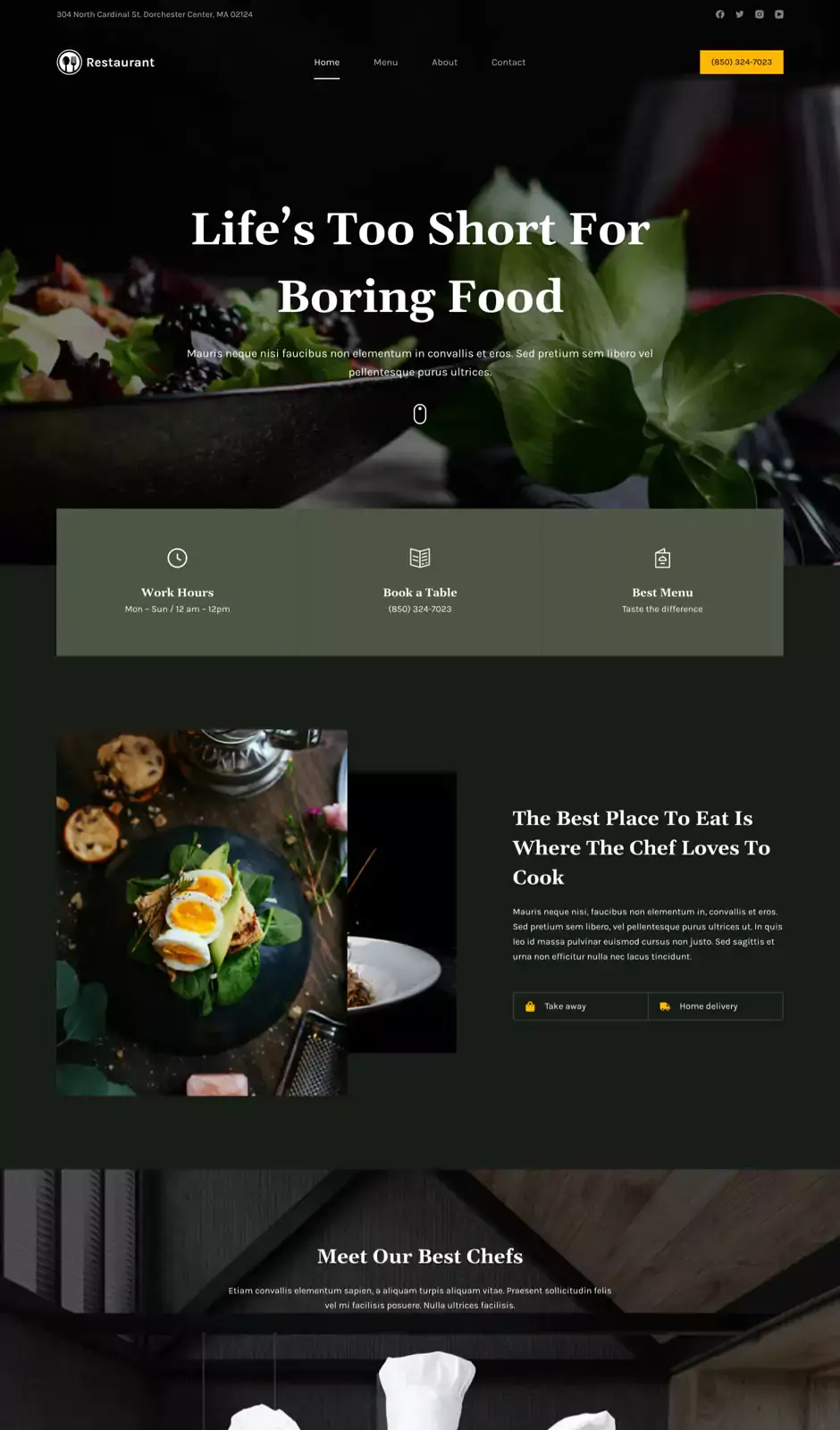 01dolphin Restaurant Website Design